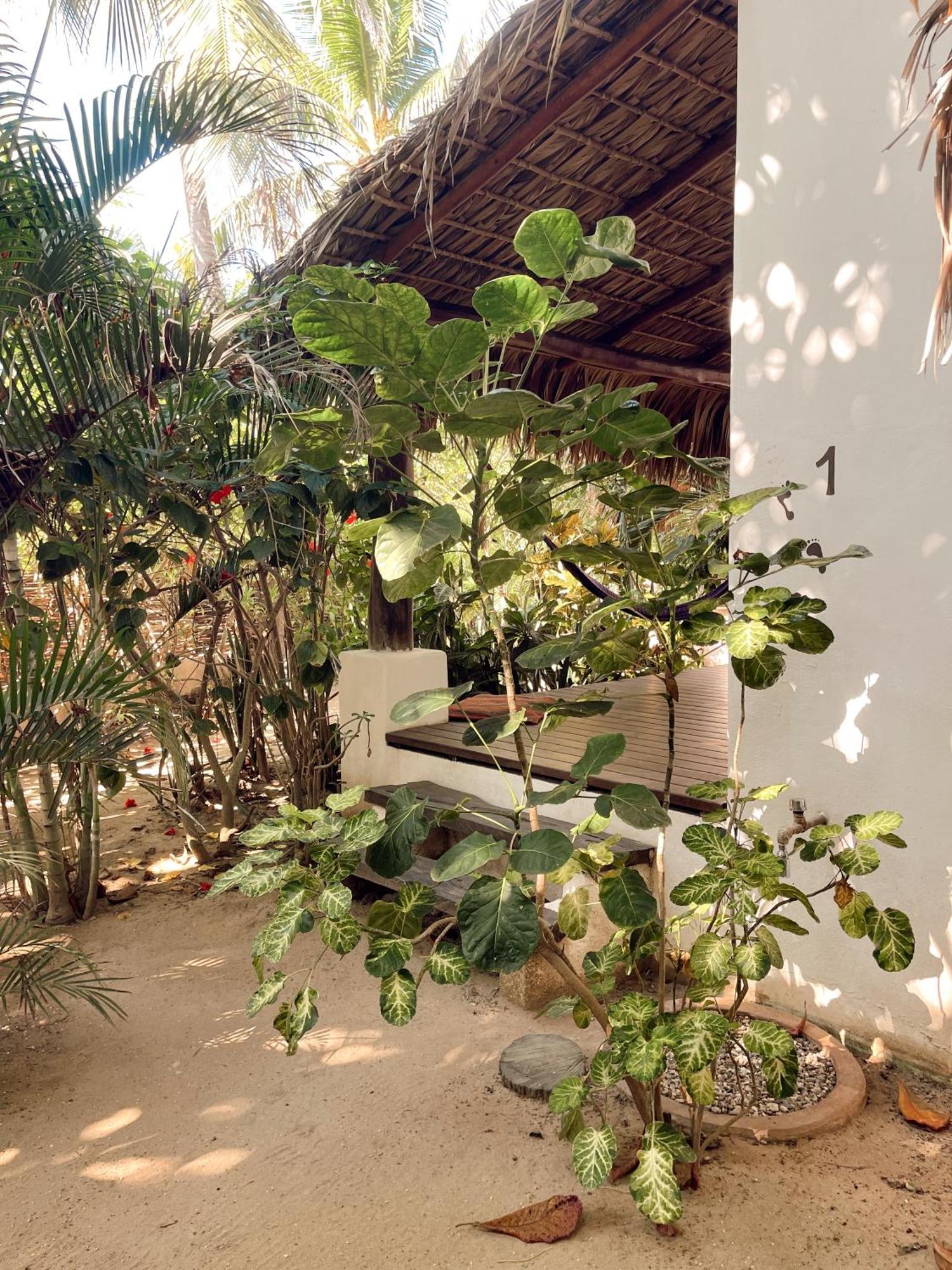 Hotel Descalzo Spa Zipolite Zewnętrze zdjęcie